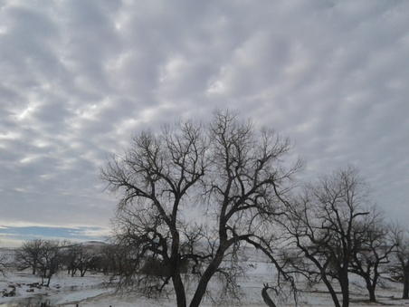 Enlarge photo 126