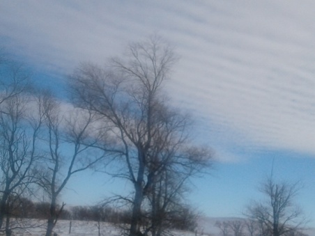 Enlarge photo 131