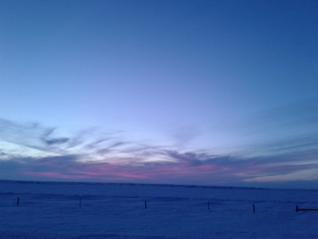 Enlarge photo 134