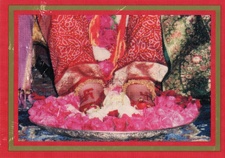 Enlarge photo 71
