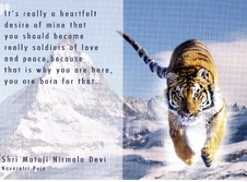 Enlarge photo 124