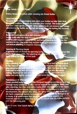 Enlarge photo 146
