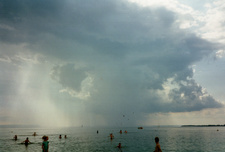 Enlarge photo 59