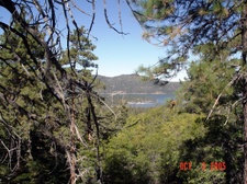 Enlarge photo 37