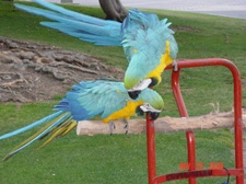 Enlarge photo 18
