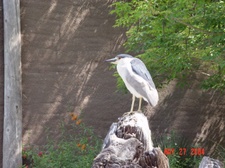 Enlarge photo 21