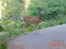 Enlarge photo 27