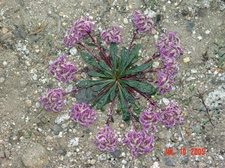 Enlarge photo 28