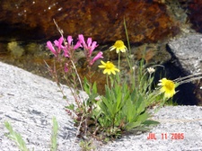 Enlarge photo 34