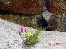 Enlarge photo 33