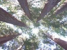 Enlarge photo 32