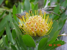 Enlarge photo 8
