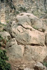 Enlarge photo 4