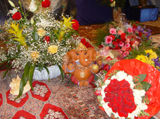 Enlarge photo 63