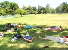 Enlarge photo 16