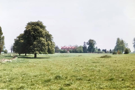 Enlarge photo 40