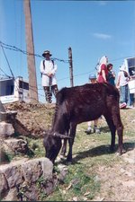 Enlarge photo 25