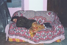 Enlarge photo 9