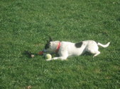 Enlarge photo 5