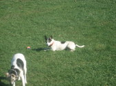 Enlarge photo 6