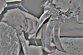 Enlarge photo 149