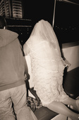Enlarge photo 47