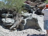 Enlarge photo 227