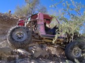 Enlarge photo 274