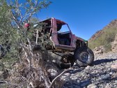 Enlarge photo 273