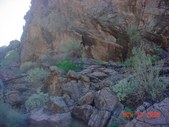 Enlarge photo 144