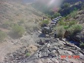 Enlarge photo 156