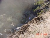 Enlarge photo 163