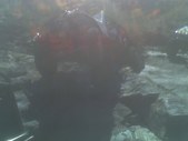 Enlarge photo 258