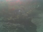 Enlarge photo 386