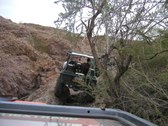 Enlarge photo 223