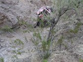 Enlarge photo 249