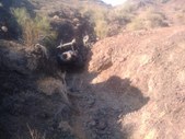 Enlarge photo 51