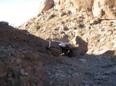 Enlarge photo 91