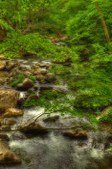 Smokey Mountains  May 2007
