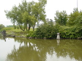 Enlarge photo 56