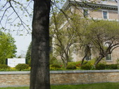 Enlarge photo 81