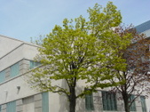 Enlarge photo 87