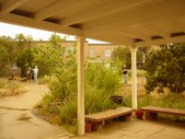Enlarge photo 79
