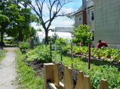 Enlarge photo 27
