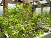 Enlarge photo 32