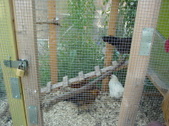 Enlarge photo 33