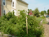 Enlarge photo 34