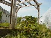 Enlarge photo 38
