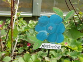 Enlarge photo 43