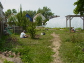 Enlarge photo 50